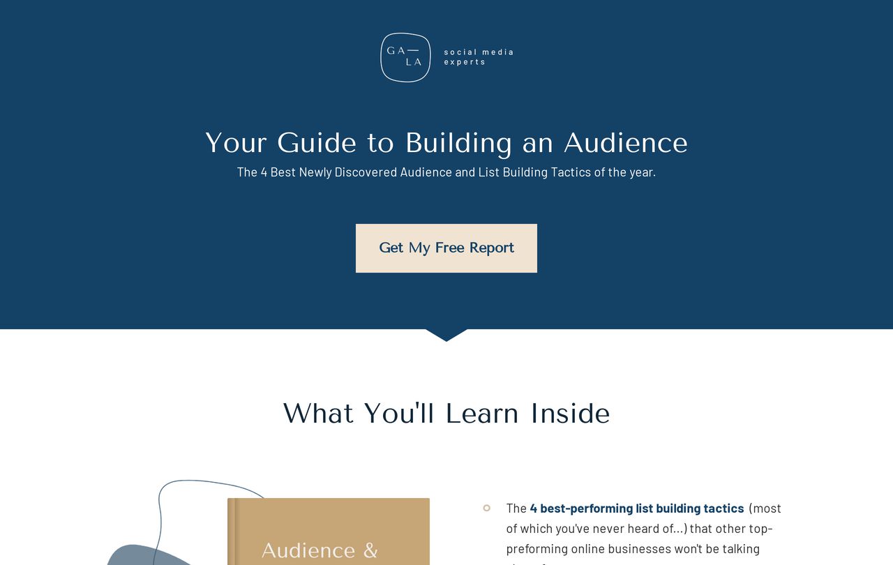 Simple Report Squeeze Page 